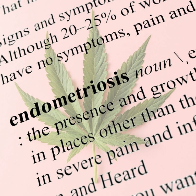 How Cannabis Can Help Ease the Symptoms of Endometriosis